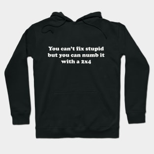 You can’t fix stupid but you can numb it with a 2x4 Hoodie